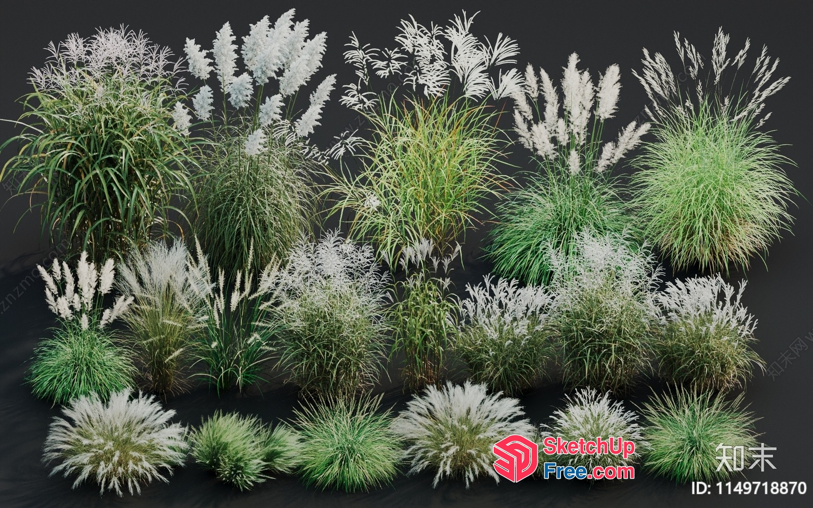 Exquisite Grass Arrangement With White And Green Accents 3D SketchUp File