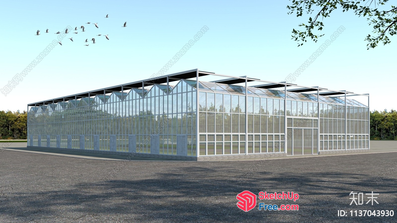 Modern Glass Greenhouse With White Frame And Roof 3D SketchUp File