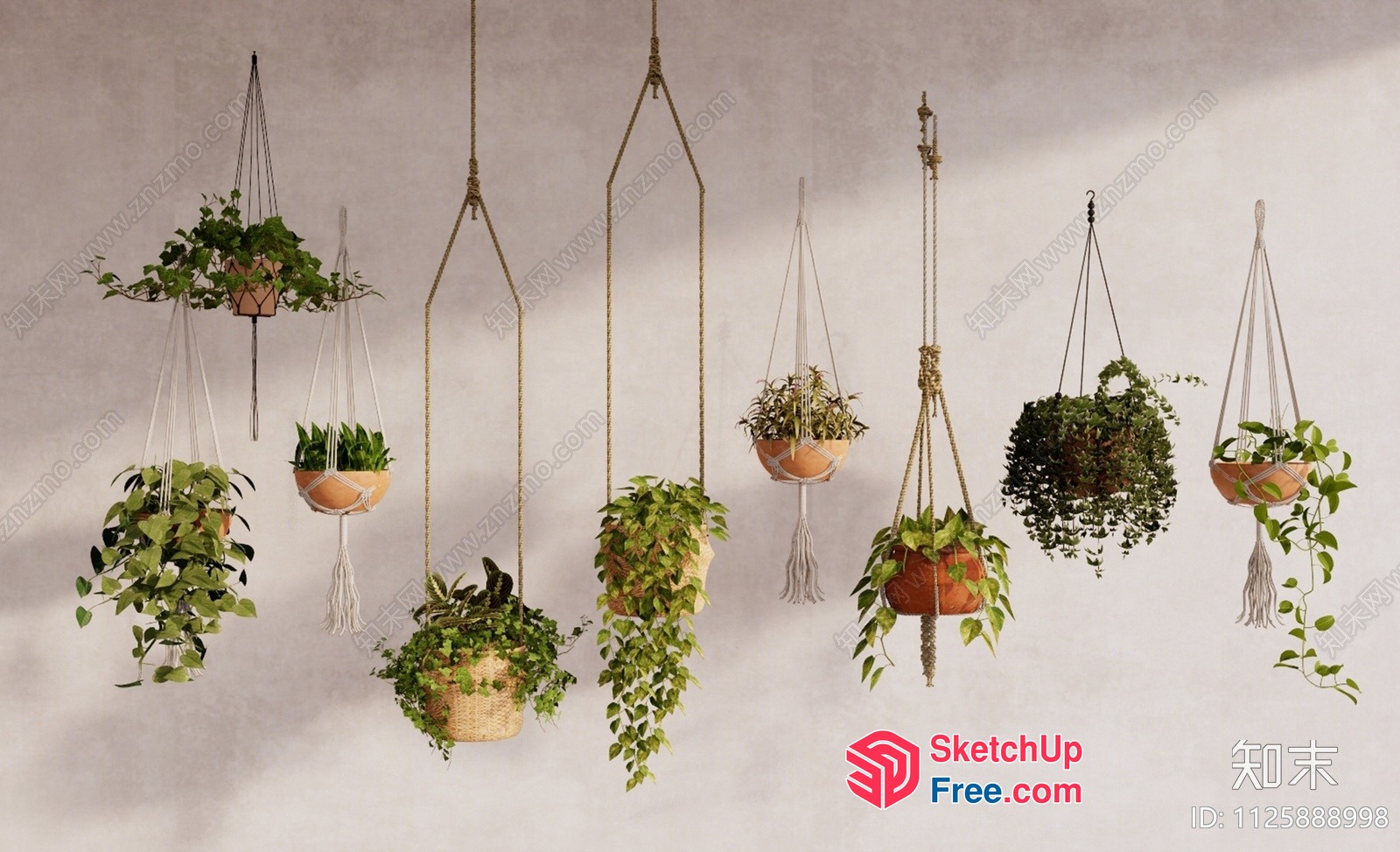 Hanging Plants In Macrame Planters 3D SketchUp File