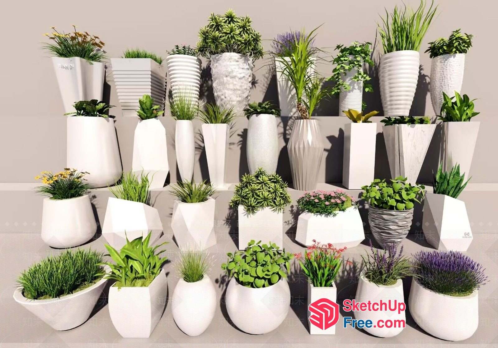 Modern White Plant Pots With Various Green Plants 3D SketchUp File