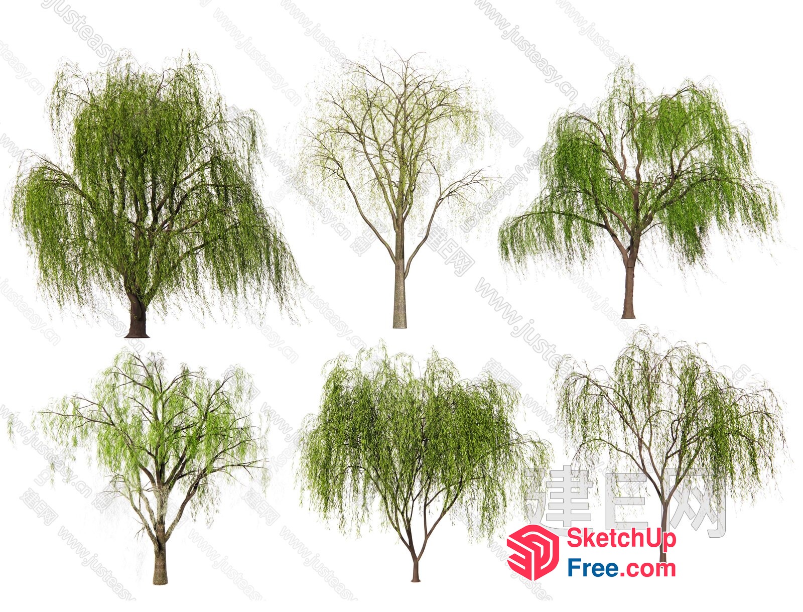 Weeping Willow Trees Collection 3D SketchUp File