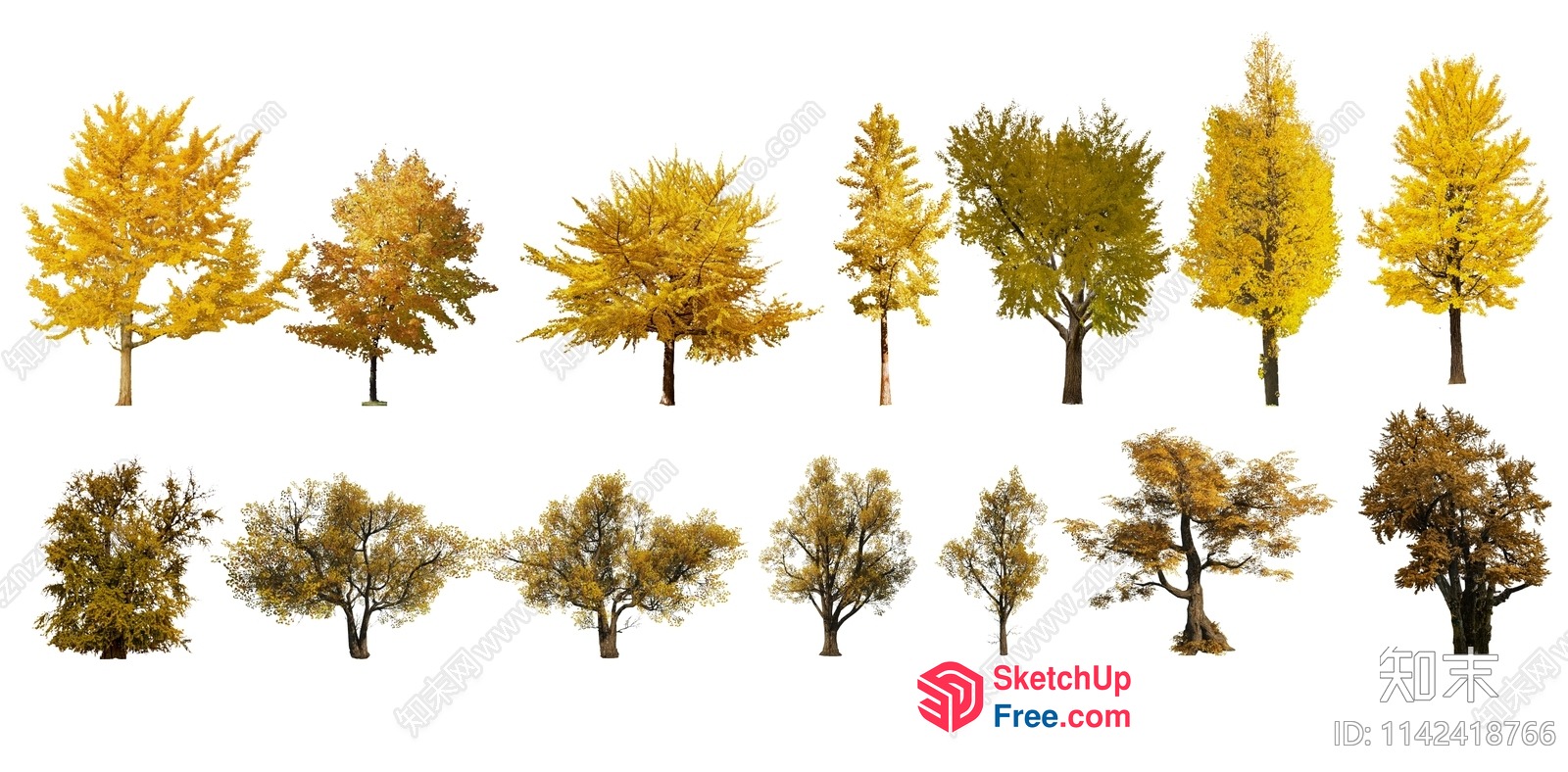 Autumnal Tree Collection 3D SketchUp File