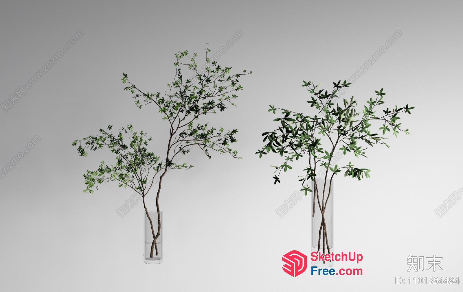 Two Trees In Vases 3D SketchUp File