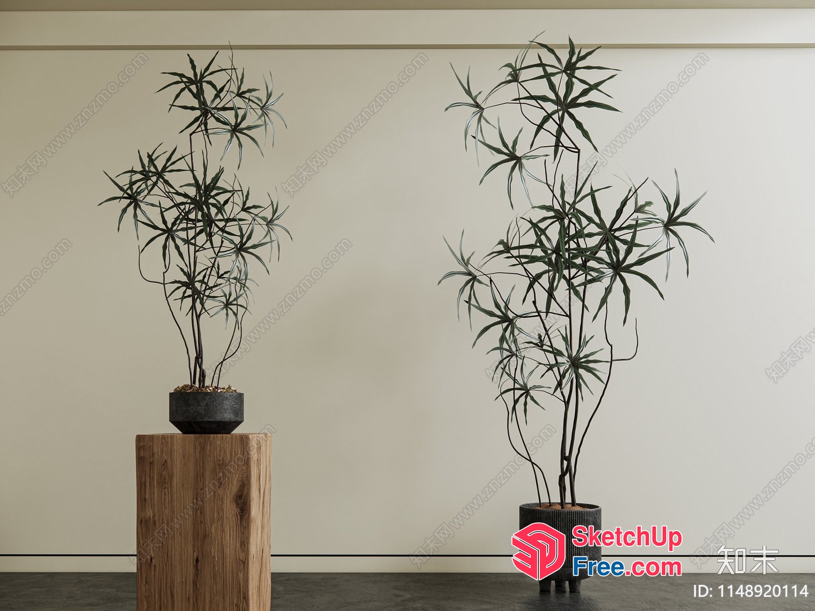 Two Potted Plants In A Modern Interior 3D SketchUp File