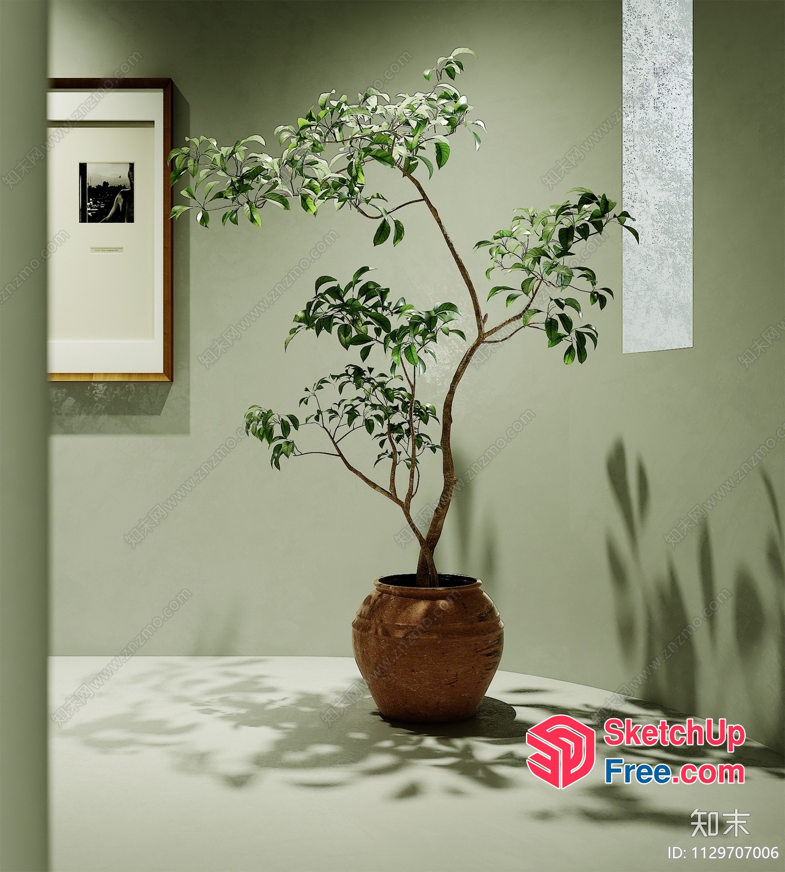 Potted Plant In A Minimalist Style Room 3D SketchUp File
