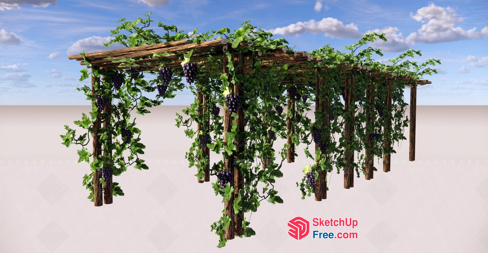 Elegant Grapes And Leaves Decorative Wall 3D SketchUp File