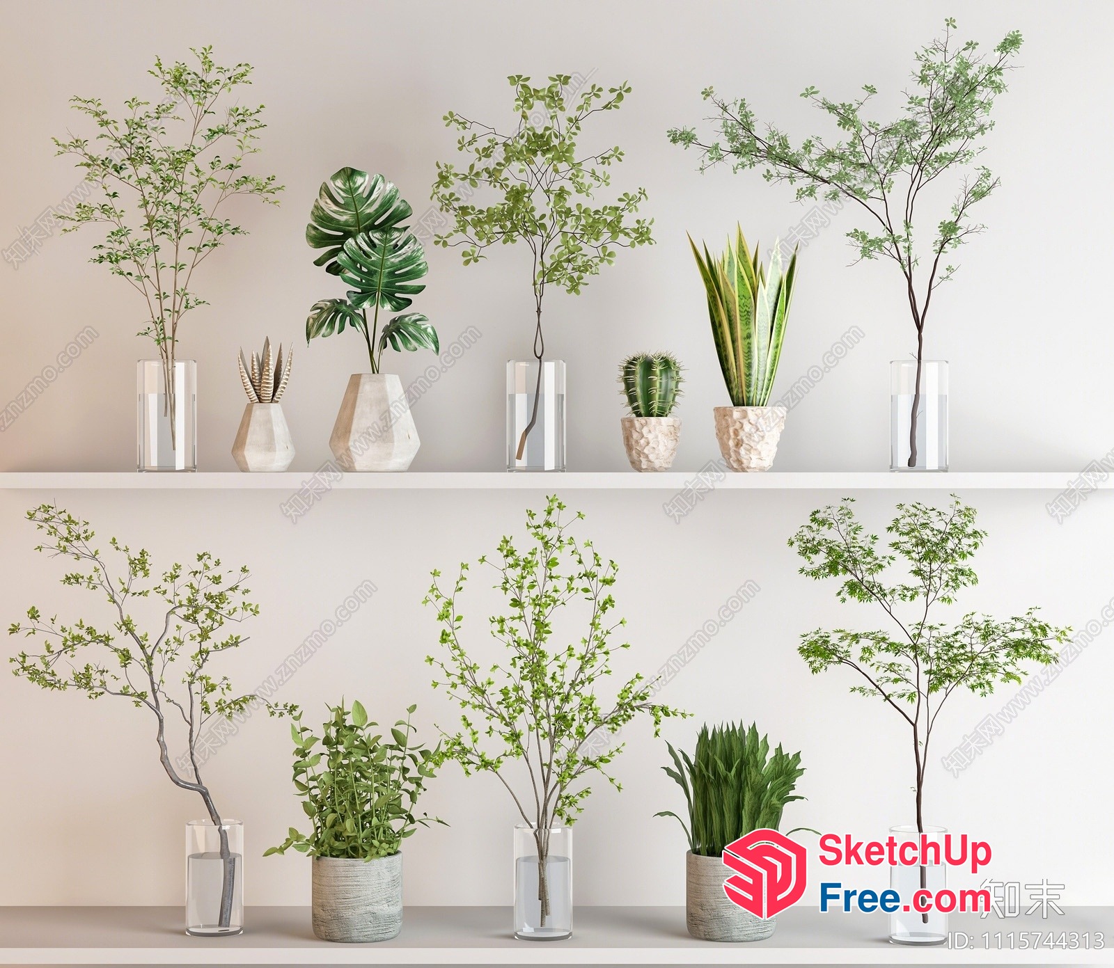 Greenery Arrangement On Shelves 3D SketchUp File