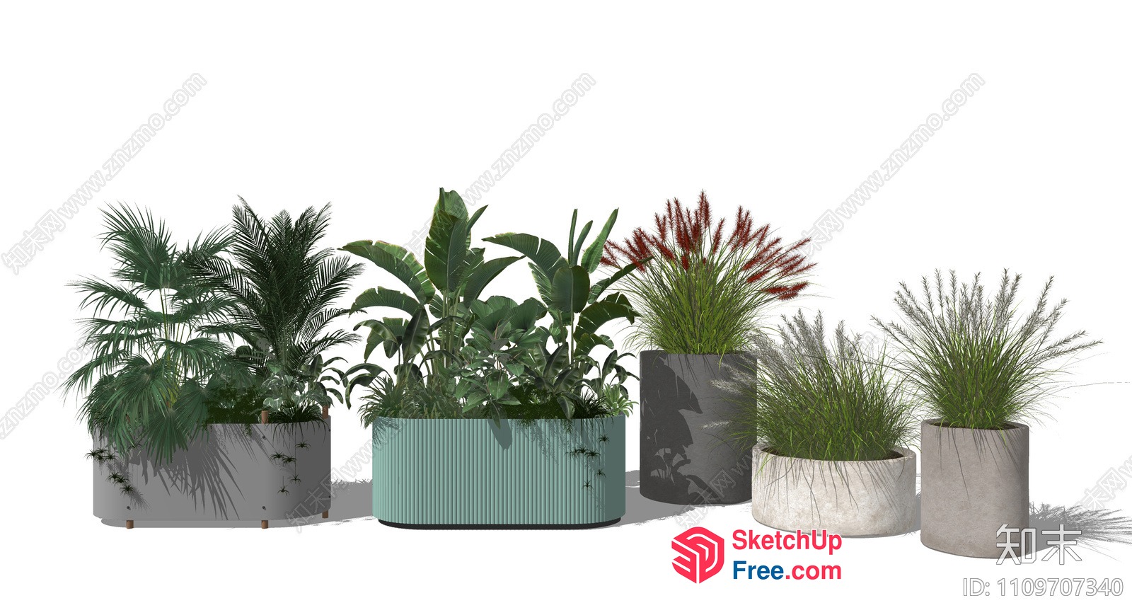 Four Potted Plants On A White Background 3D SketchUp File