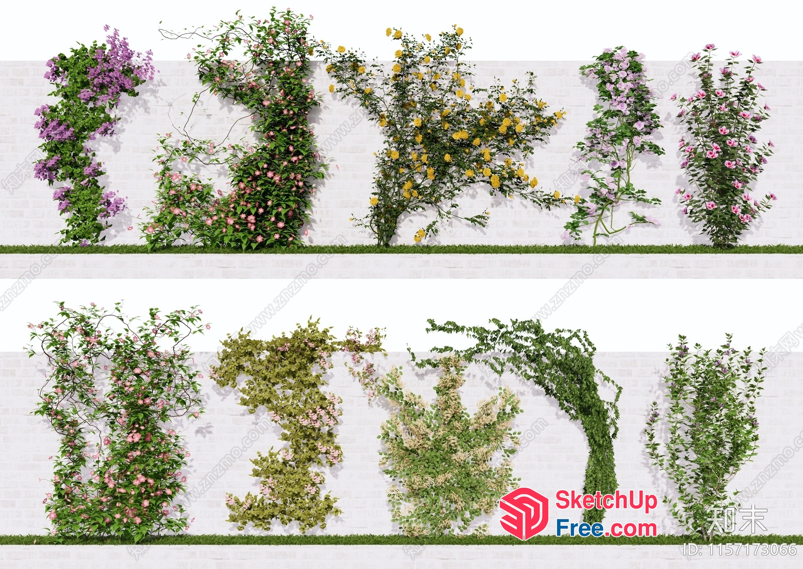 Outdoor Wall Decorations Of Liana And Plants 3D SketchUp File