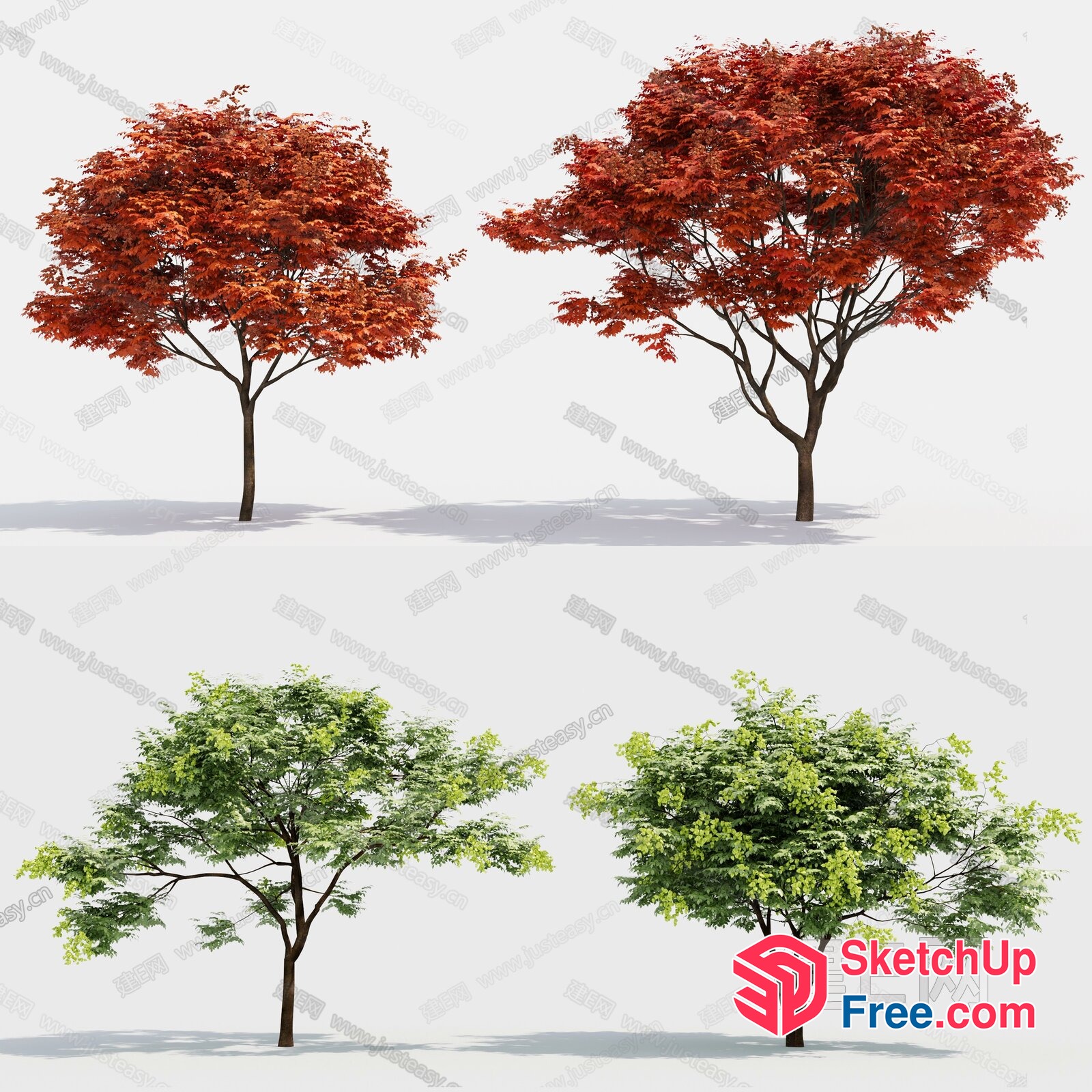Tree Collection 3D SketchUp File