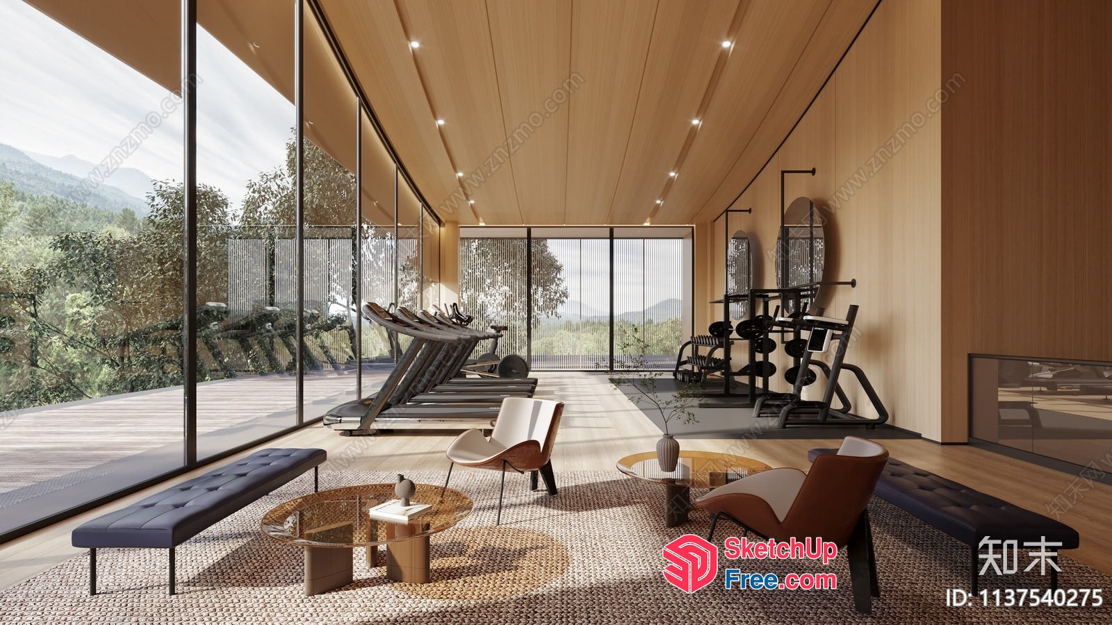 Modern Gym With A View 3D SketchUp File