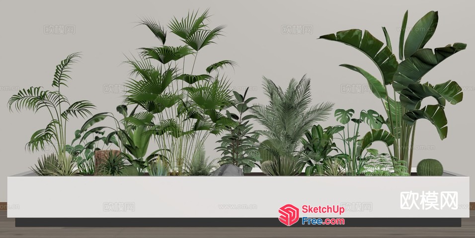 Lush Greenery In A Modern Planter Box 3D SketchUp File