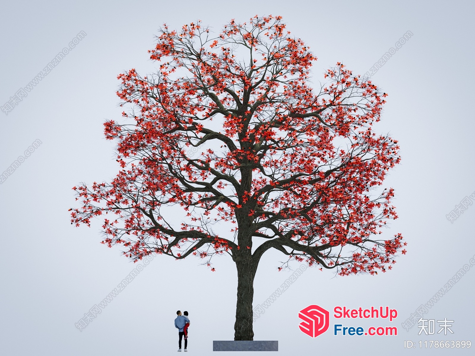 A Couple Standing In Front Of A Large Tree With Red Leaves 3D SketchUp File
