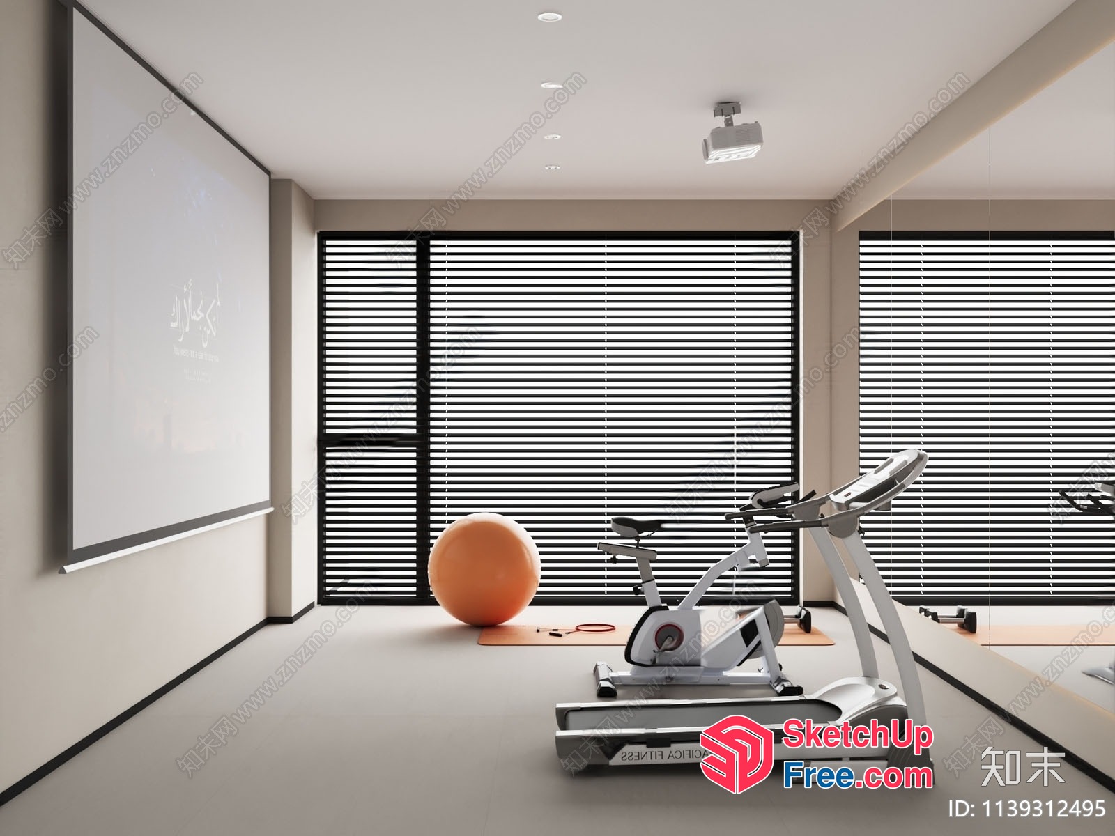 Spacious Gym Room With Modern Equipment 3D SketchUp File