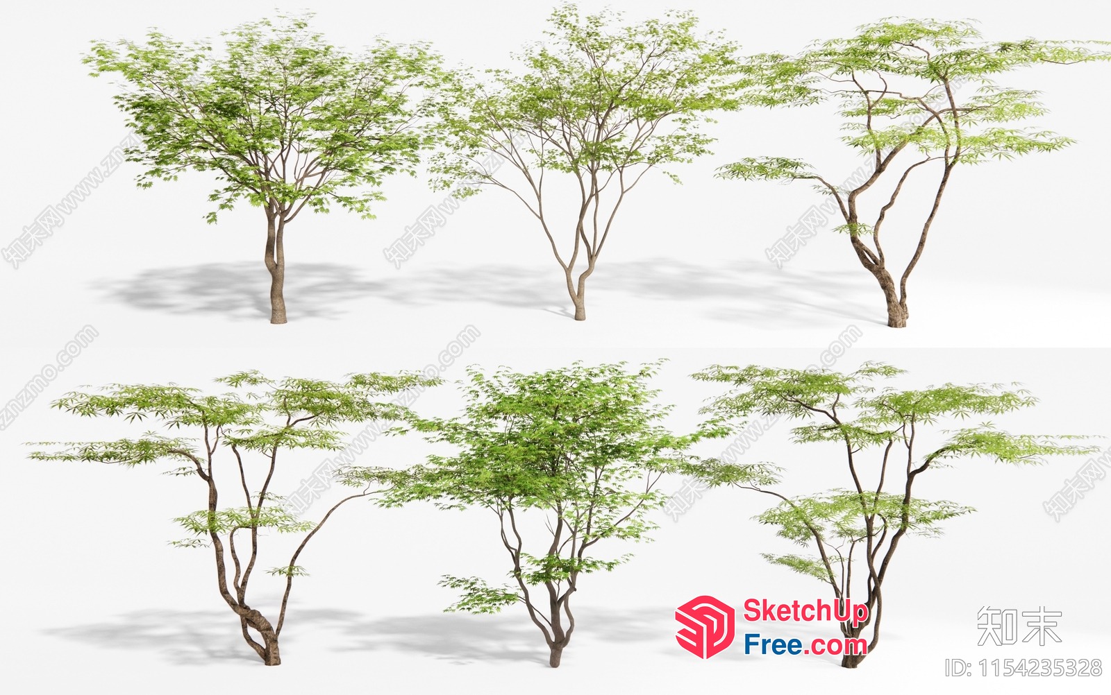 Exquisite 3D Tree Models 3D SketchUp File