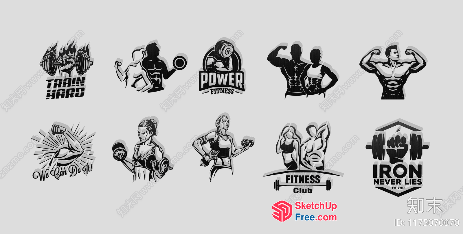 Fitness Club Decorations 3D SketchUp File