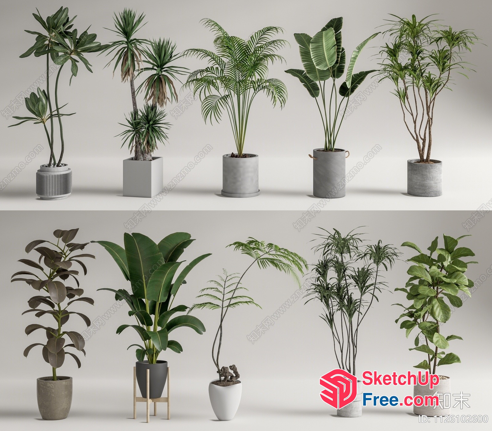 3D Rendered Plants In Pots 3D SketchUp File