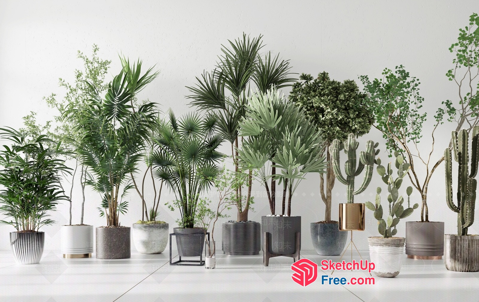 Exotic Tropical Plants Collection 3D SketchUp File