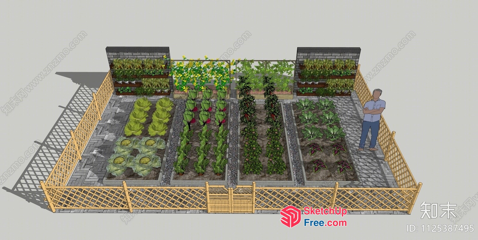 3D Garden With Potted Plants And Fencing 3D SketchUp File