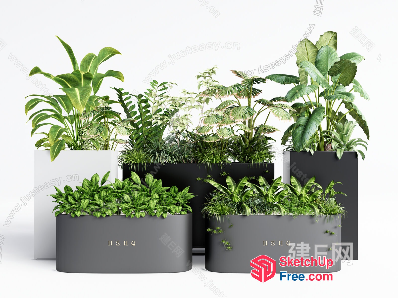 Greenery Arrangement In Potted Containers 3D SketchUp File