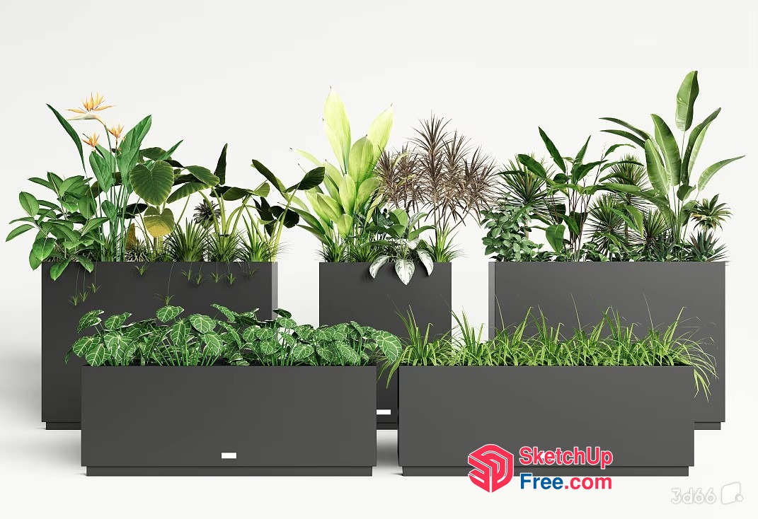 Modern Greenery Decorative Potted Plants 3D SketchUp File