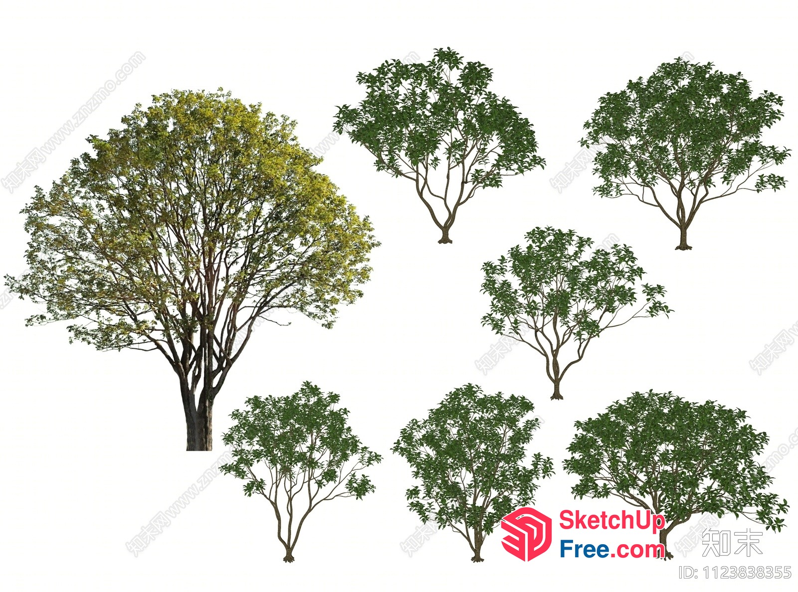 7 Trees Of Various Sizes 3D SketchUp File