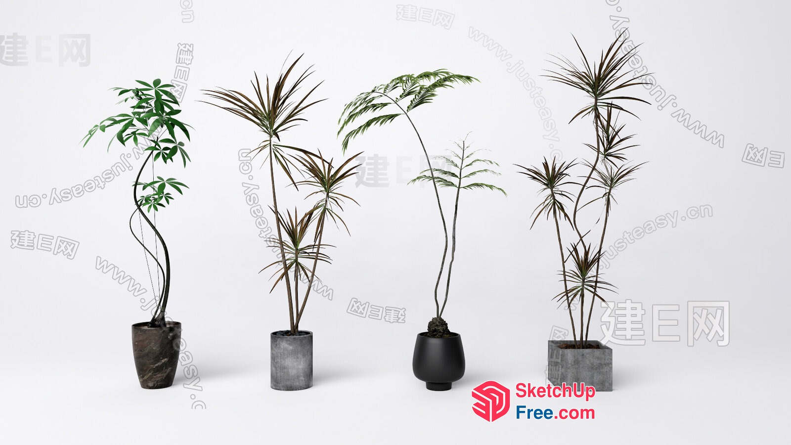 Four Potted Plants With Unique Designs 3D SketchUp File