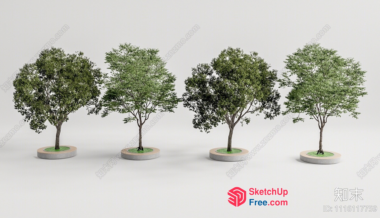 Four Trees In Pots 3D SketchUp File