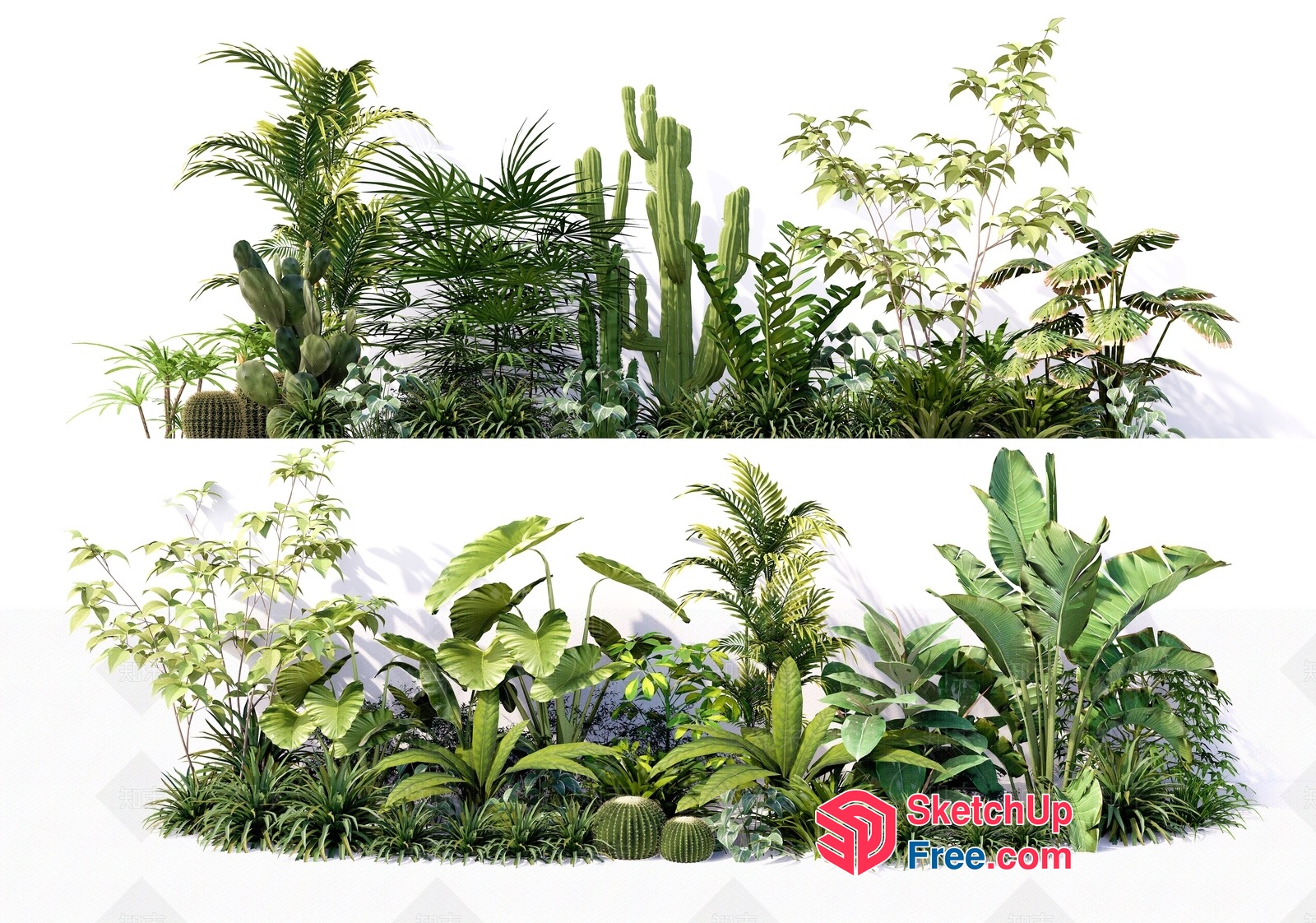 Tropical Plants And Cacti Arrangement 3D SketchUp File