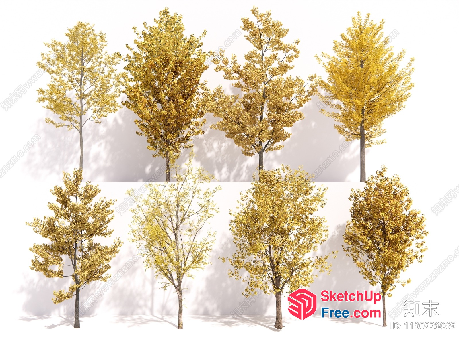 Autumn Trees With Yellow Leaves 3D SketchUp File