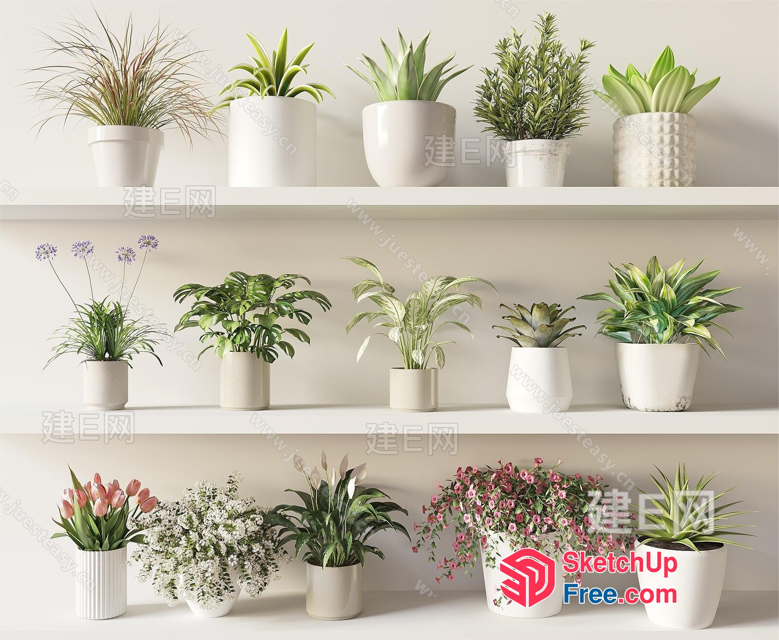 Potted Plants On White Shelves 3D SketchUp File