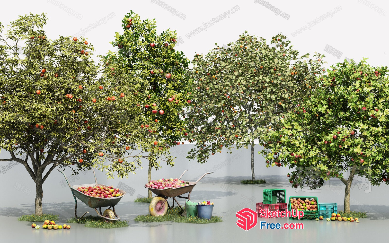 Abundant Apple Harvest In A Serene Orchard 3D SketchUp File