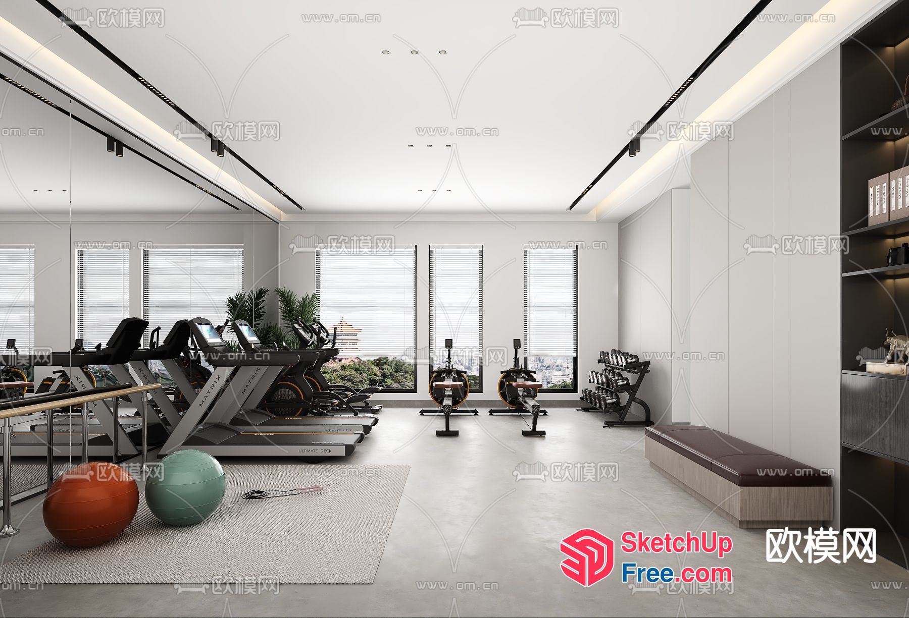 Contemporary Gym With Natural Light And Modern Equipment 3D SketchUp File