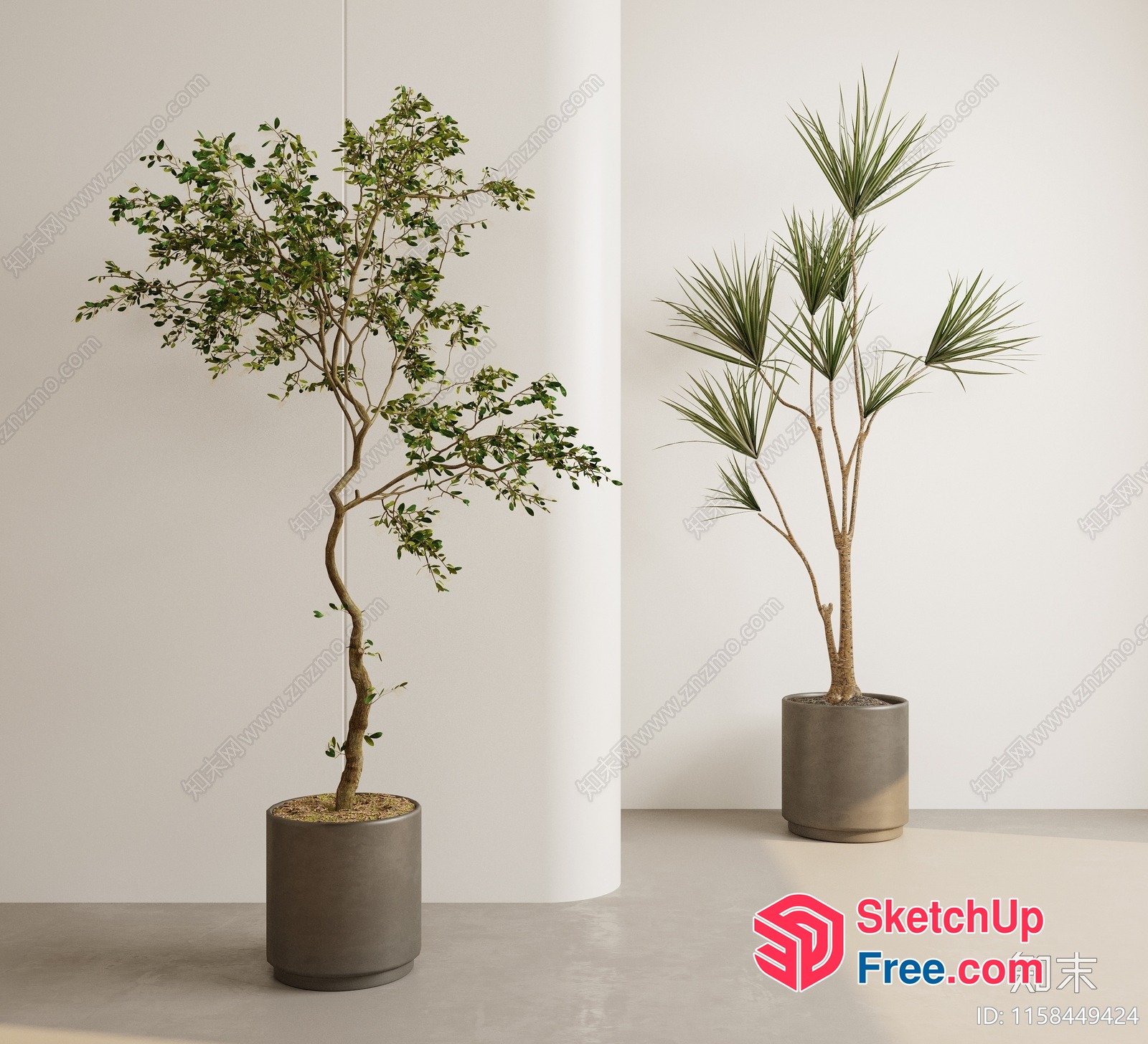 Potted Trees In A Neutral Interior 3D SketchUp File