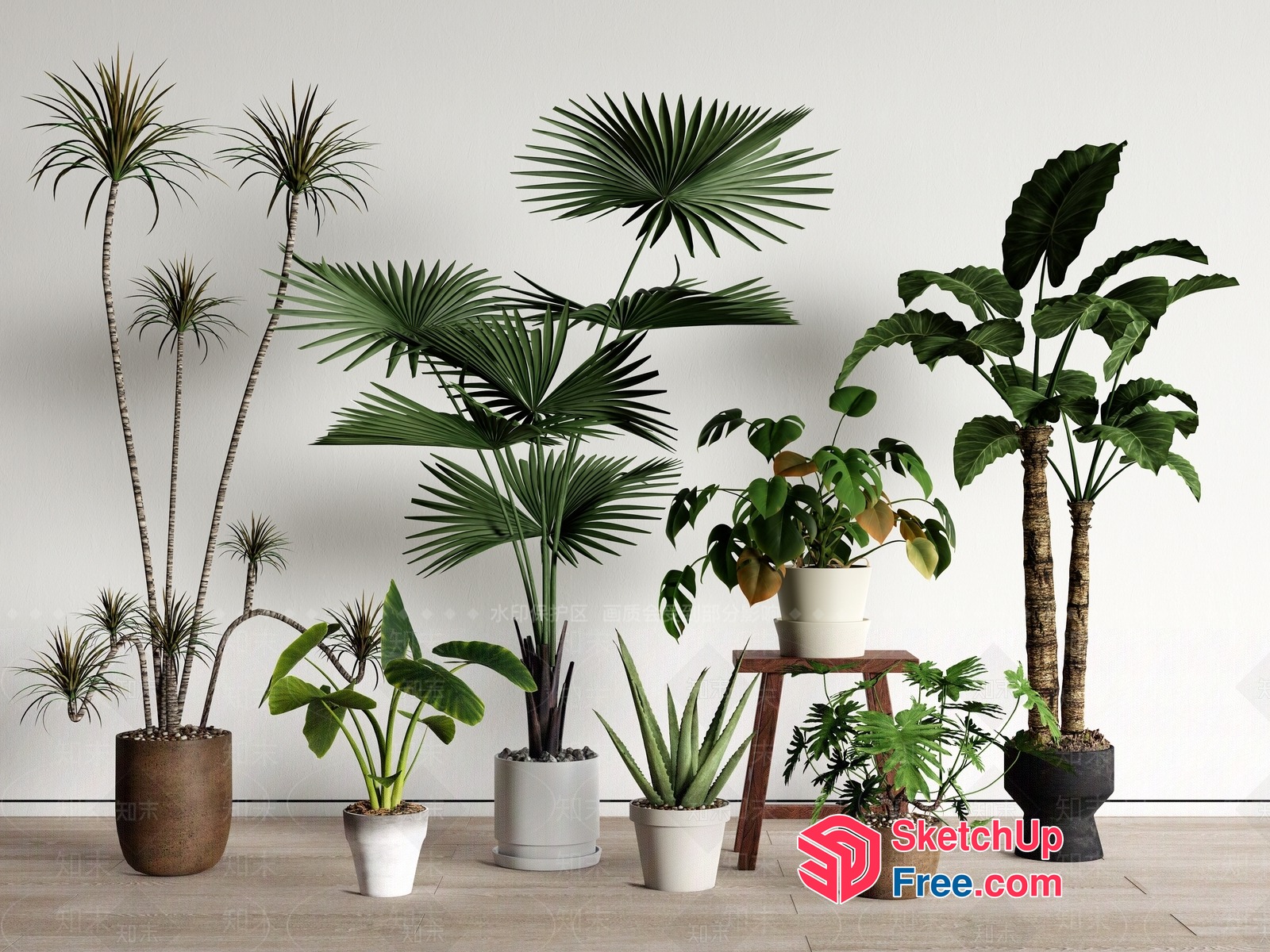 Tropical Plants And Trees In Pots 3D SketchUp File