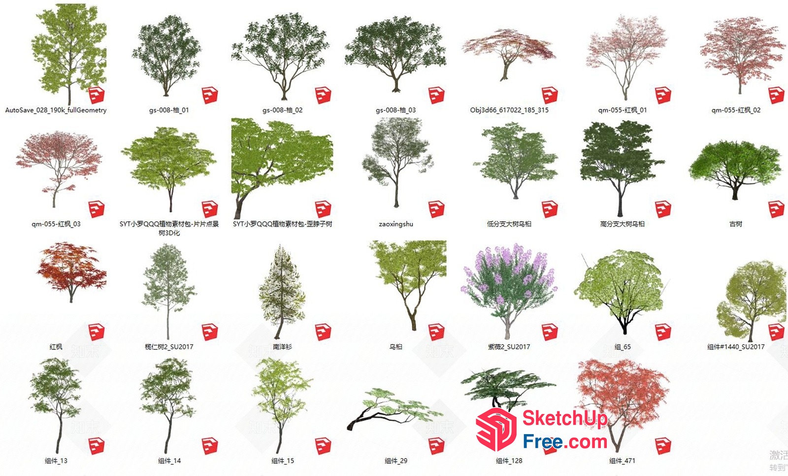 Collection Of Trees And Plants 3D SketchUp File