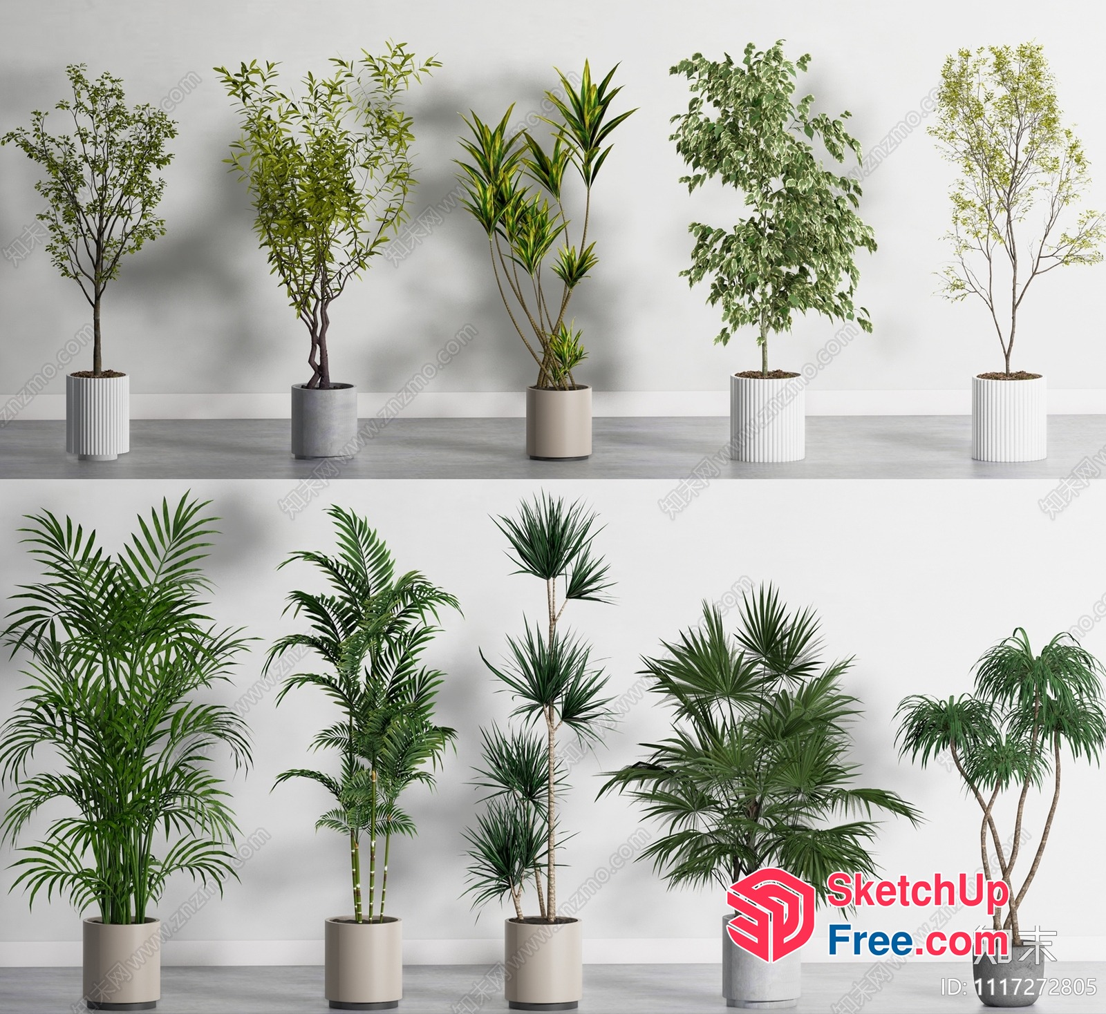 Potted Plants Collection 3D SketchUp File