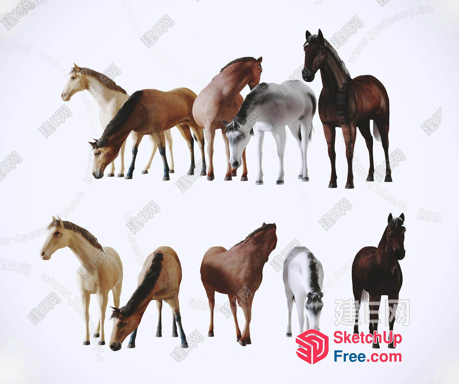 Eight Horses Standing And Two Horses Grazing 3D SketchUp File