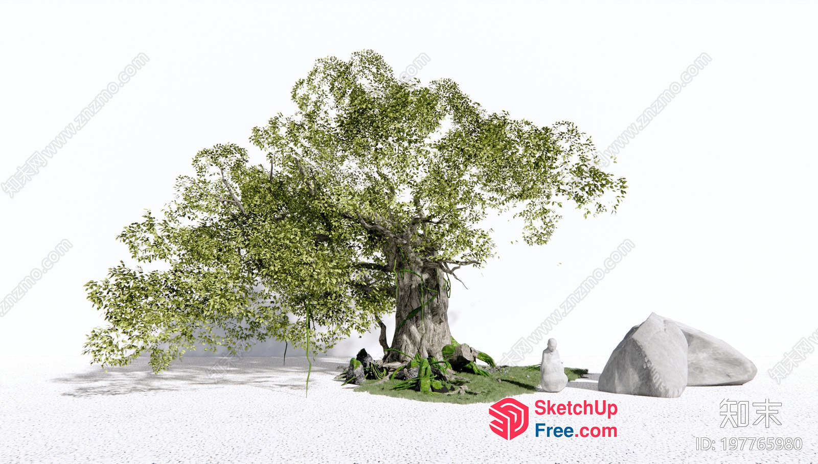 A Tree With A Large Trunk And Branches 3D SketchUp File