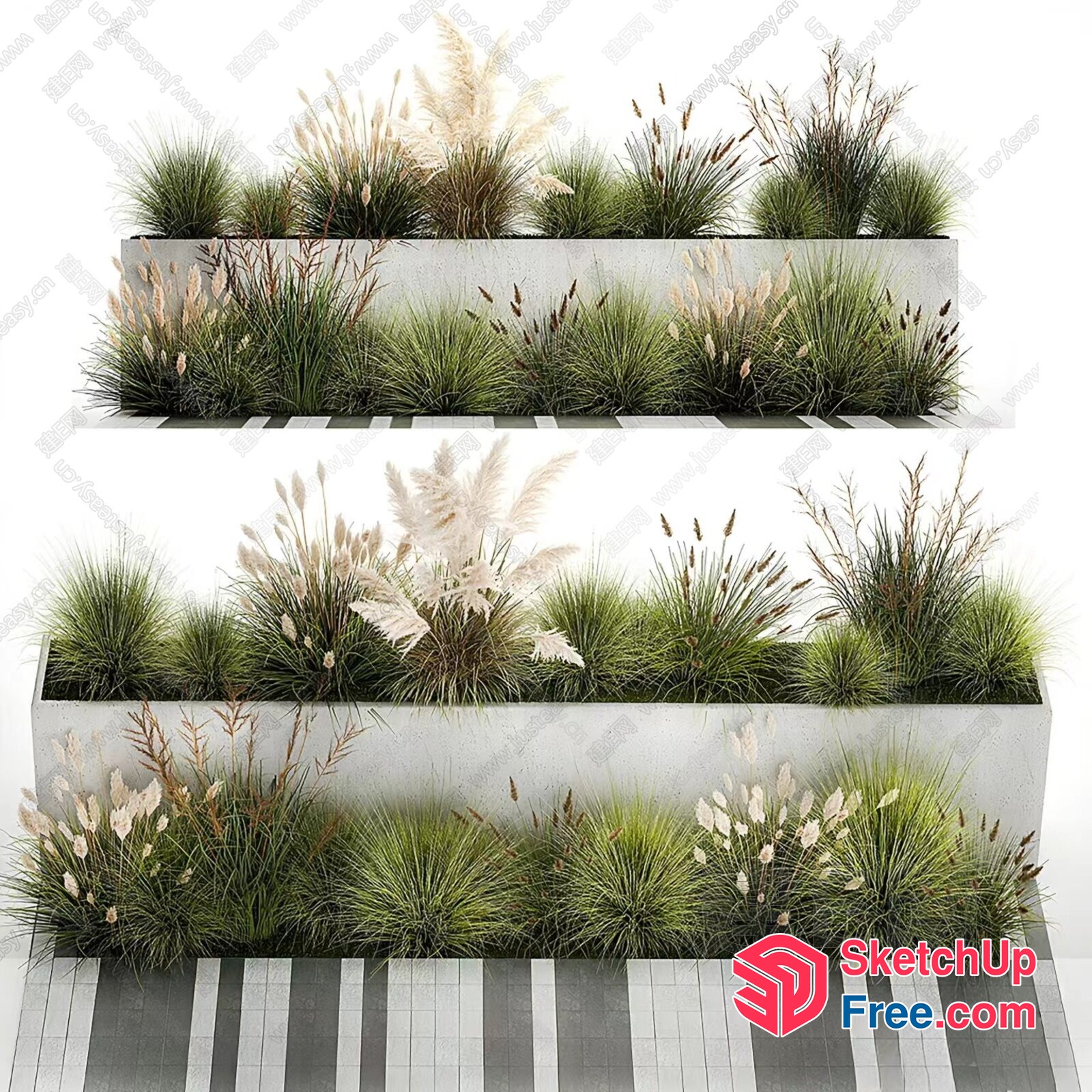 Modern Grass And Pampas Planter Arrangement 3D SketchUp File