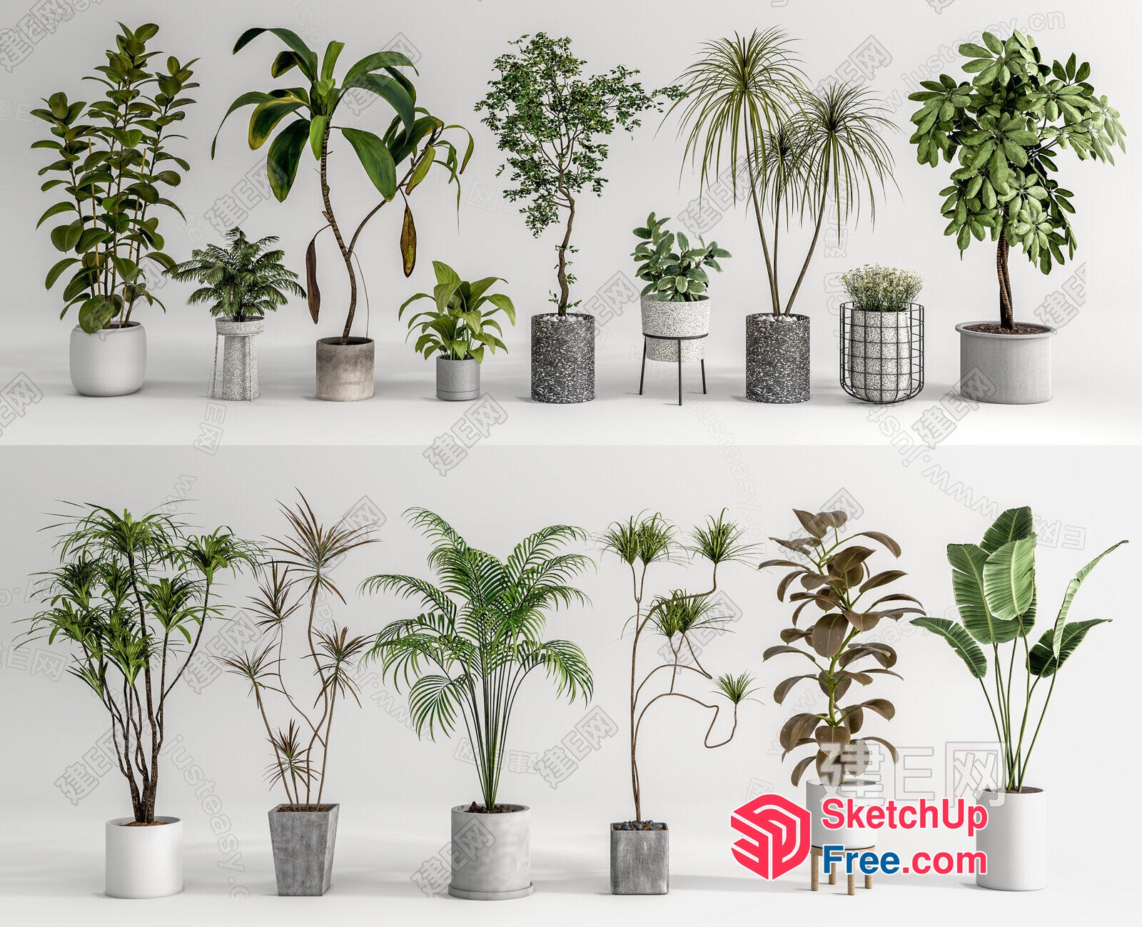 Various Potted Plants In Modern Pots 3D SketchUp File
