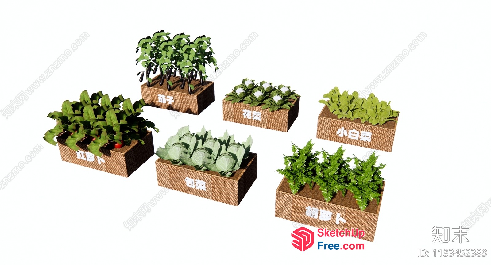 3D Model Of Various Plants In Potted Boxes 3D SketchUp File