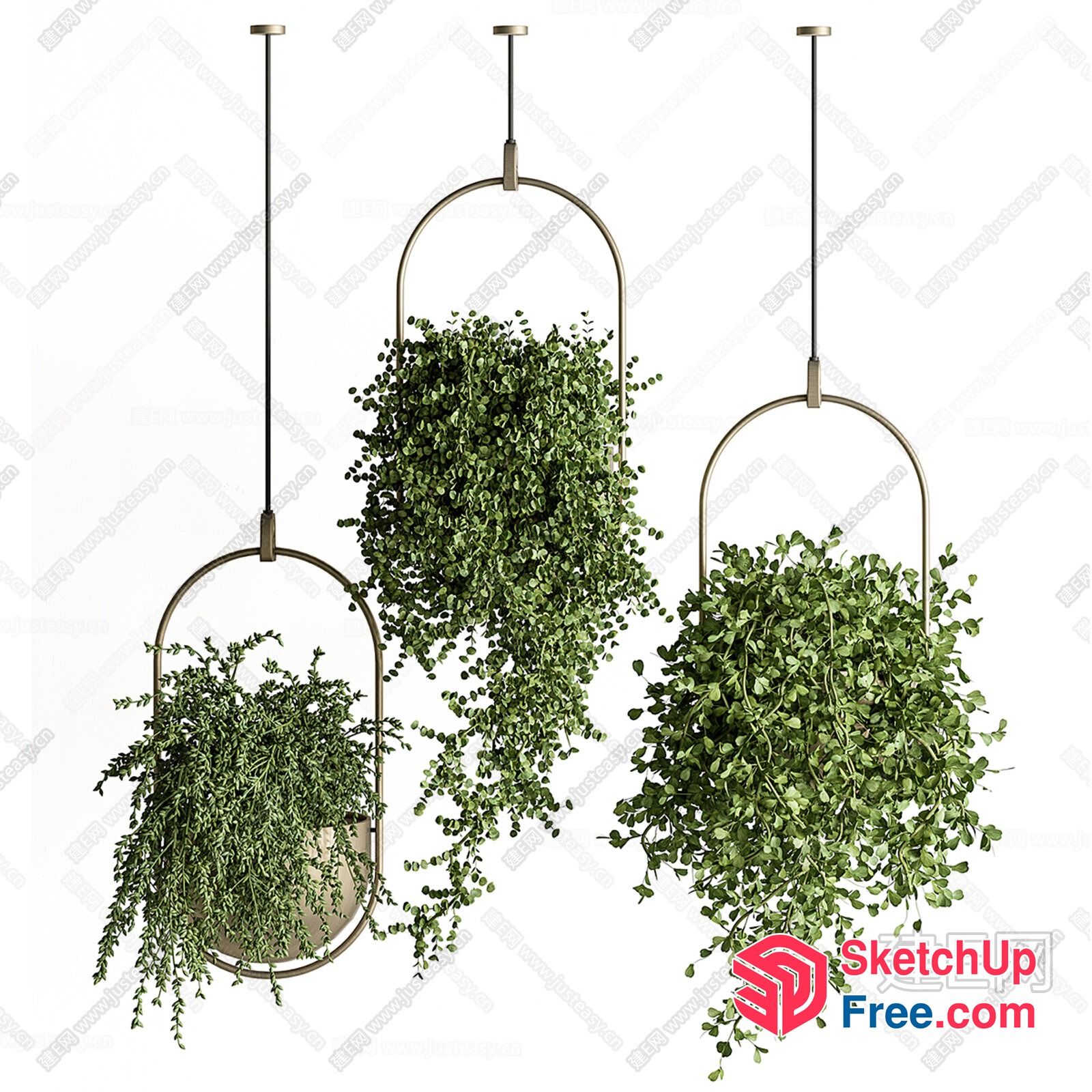 Hanging Greenery Decorative Elements 3D SketchUp File