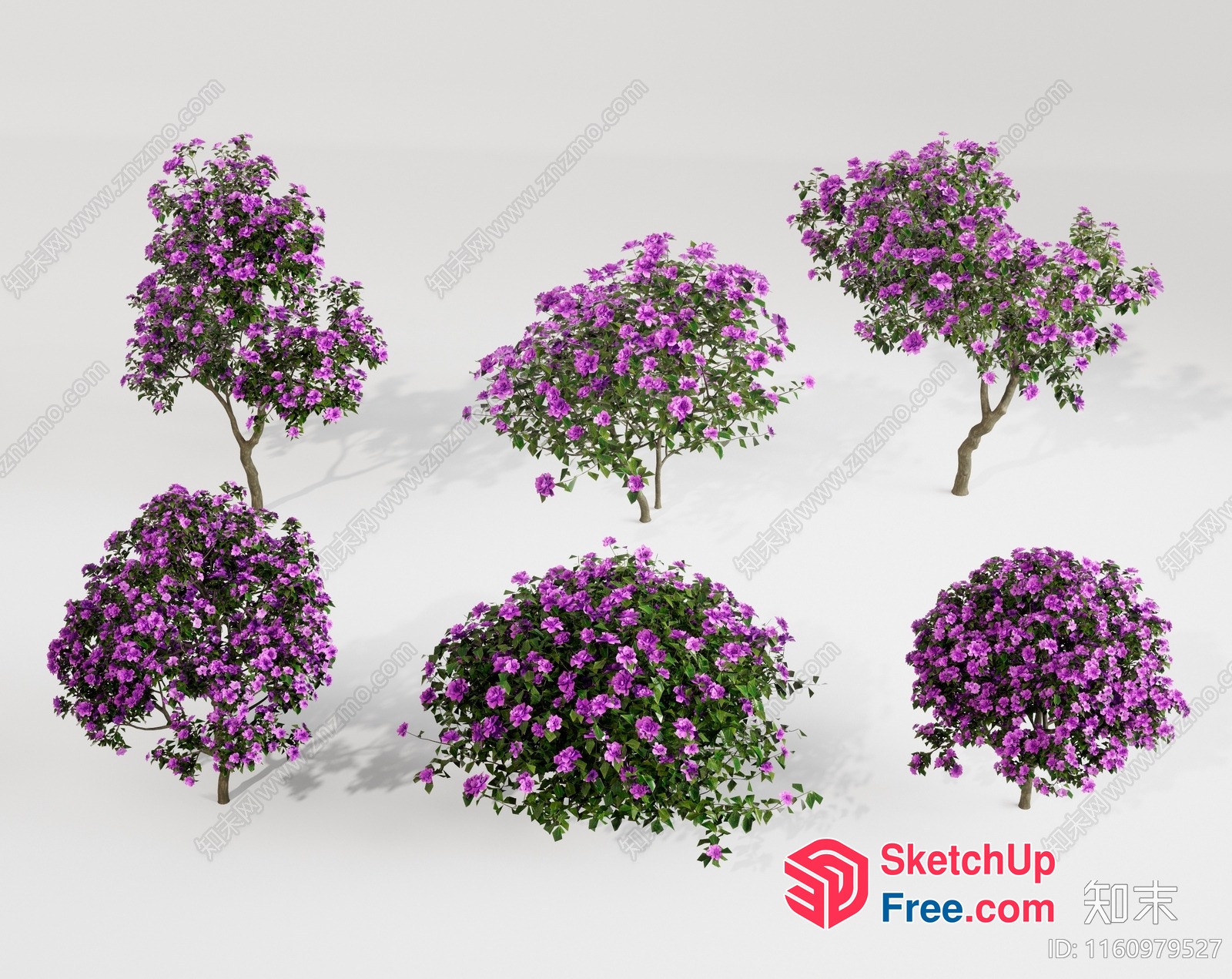 3D Rendered Blooming Purple Flower Bushes 3D SketchUp File