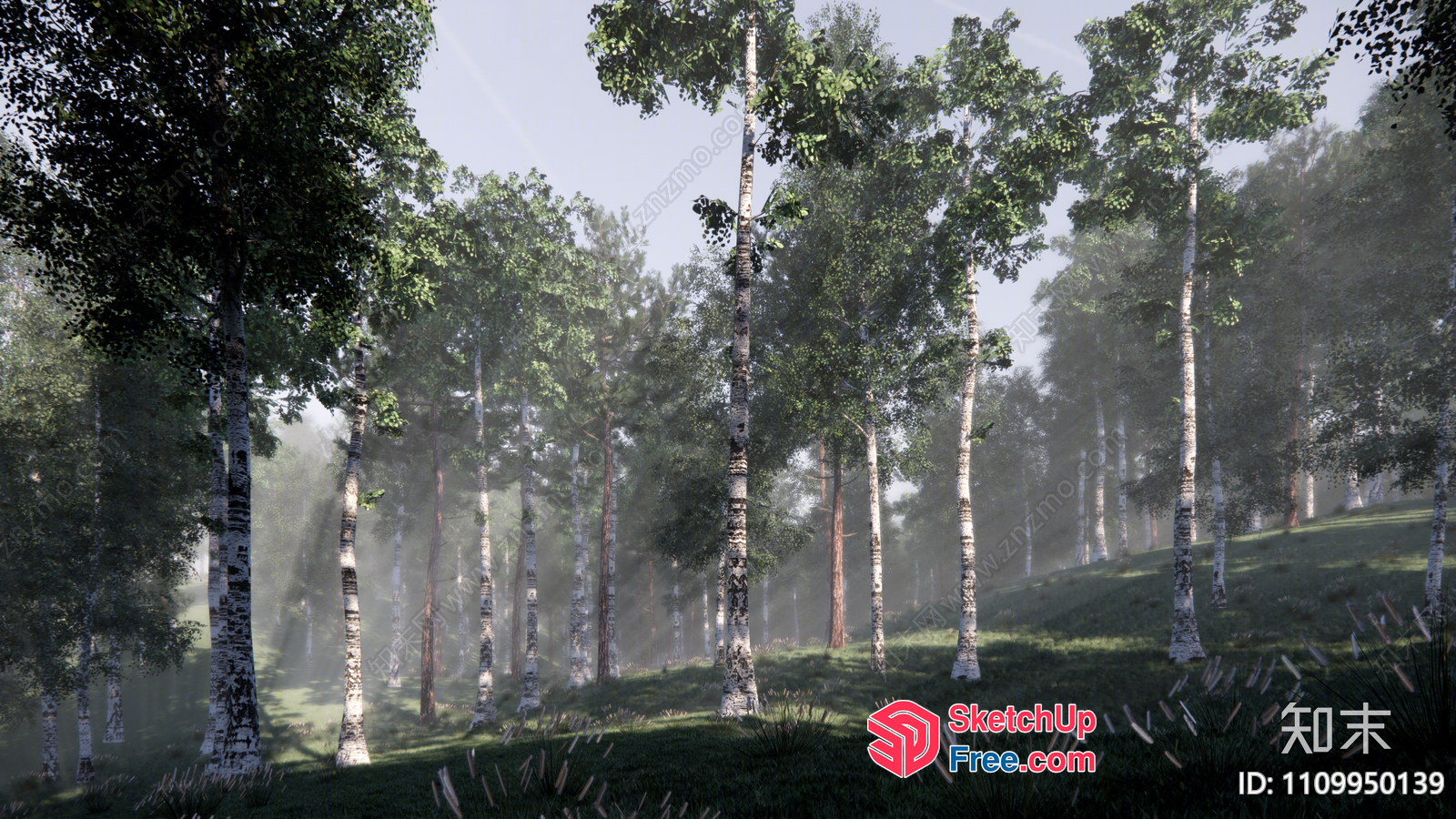 Serene Forest Scene With Sunbeams And Trees 3D SketchUp File