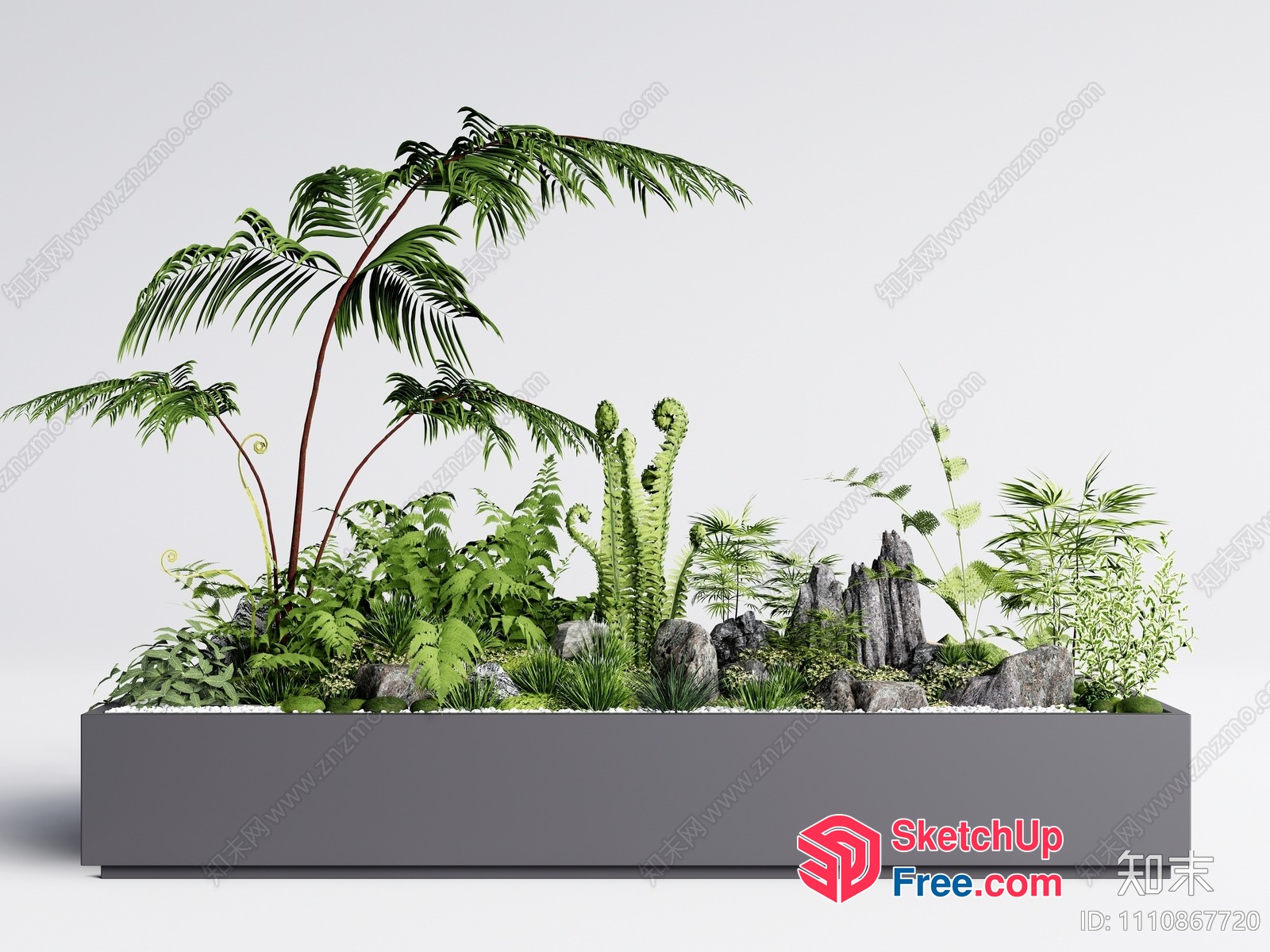 Exotic Plant Display With Rocks And Stones 3D SketchUp File