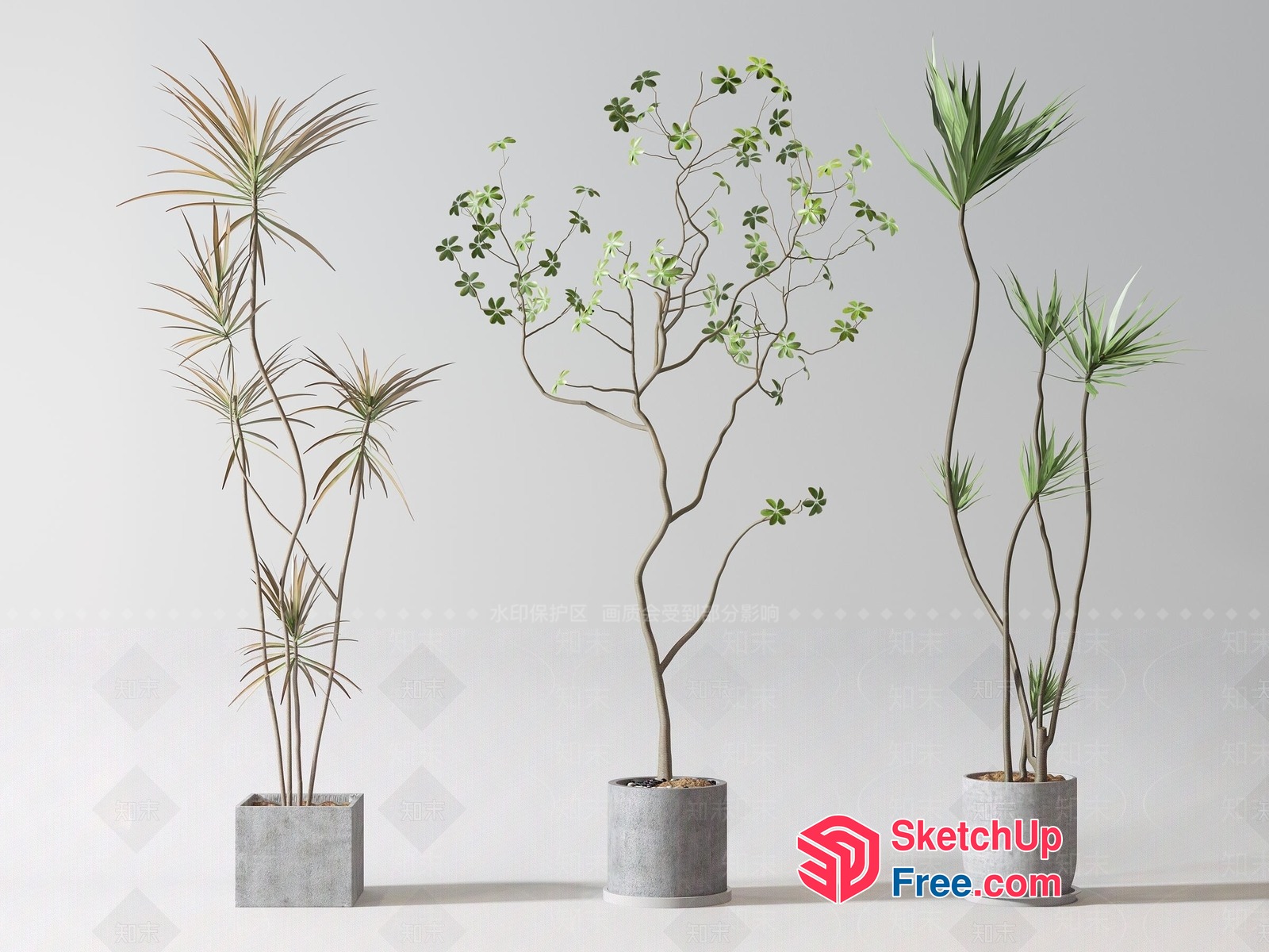 Potted Plants With Varying Heights And Leaf Shapes 3D SketchUp File