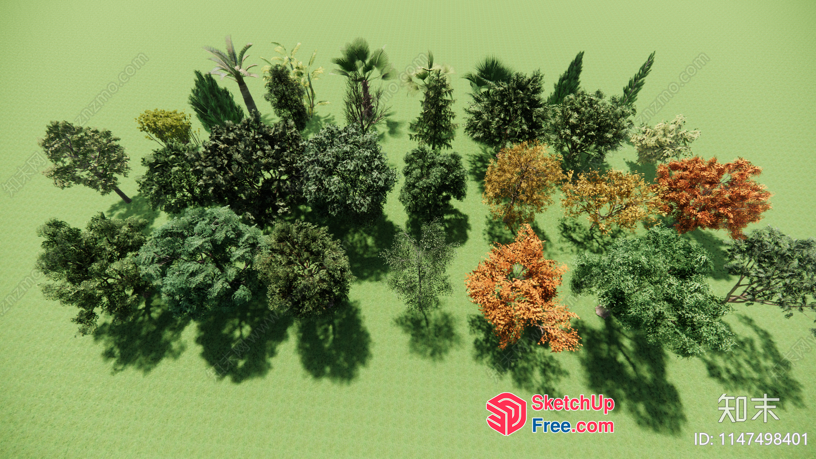 Colorful Trees With Various Shapes And Sizes 3D SketchUp File