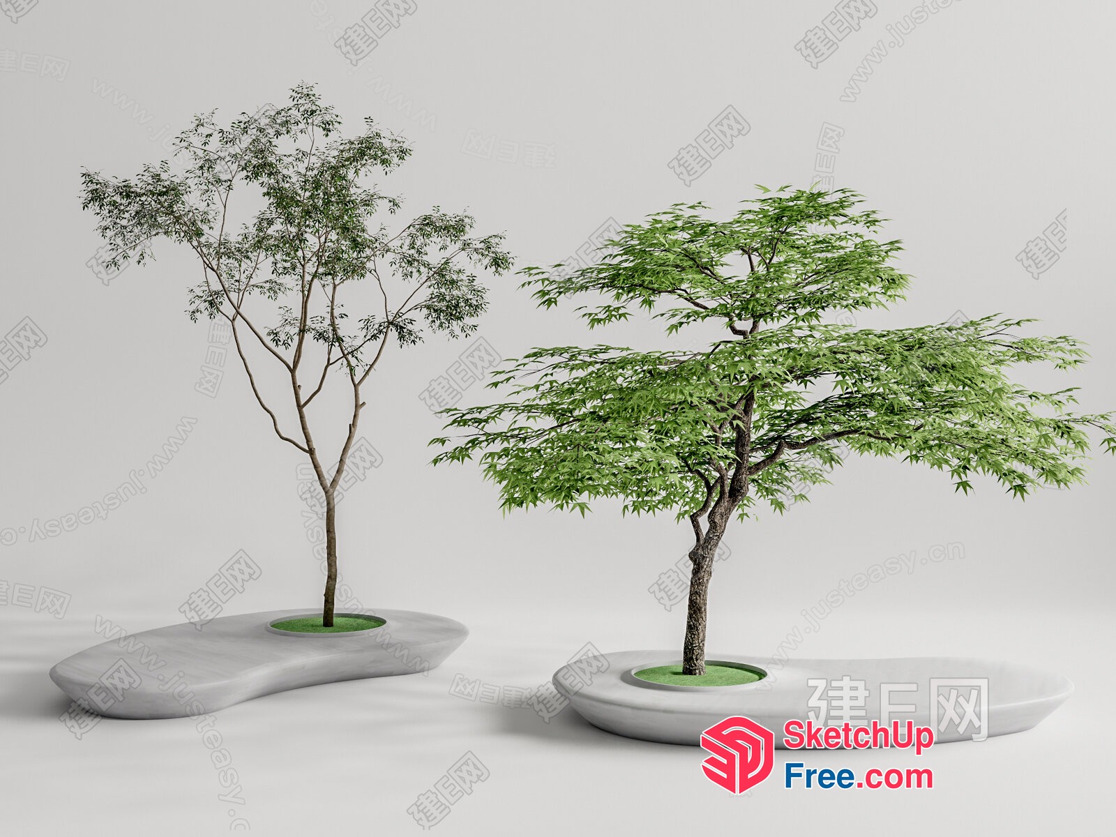 Japanese Style Tree In White Pot On White Ground 3D SketchUp File