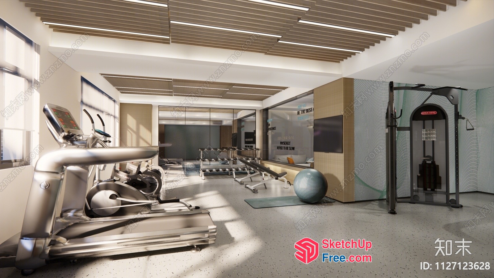 Modern Gym Interior With Exercise Equipment And Natural Light 3D SketchUp File
